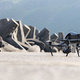 Image: DJI
